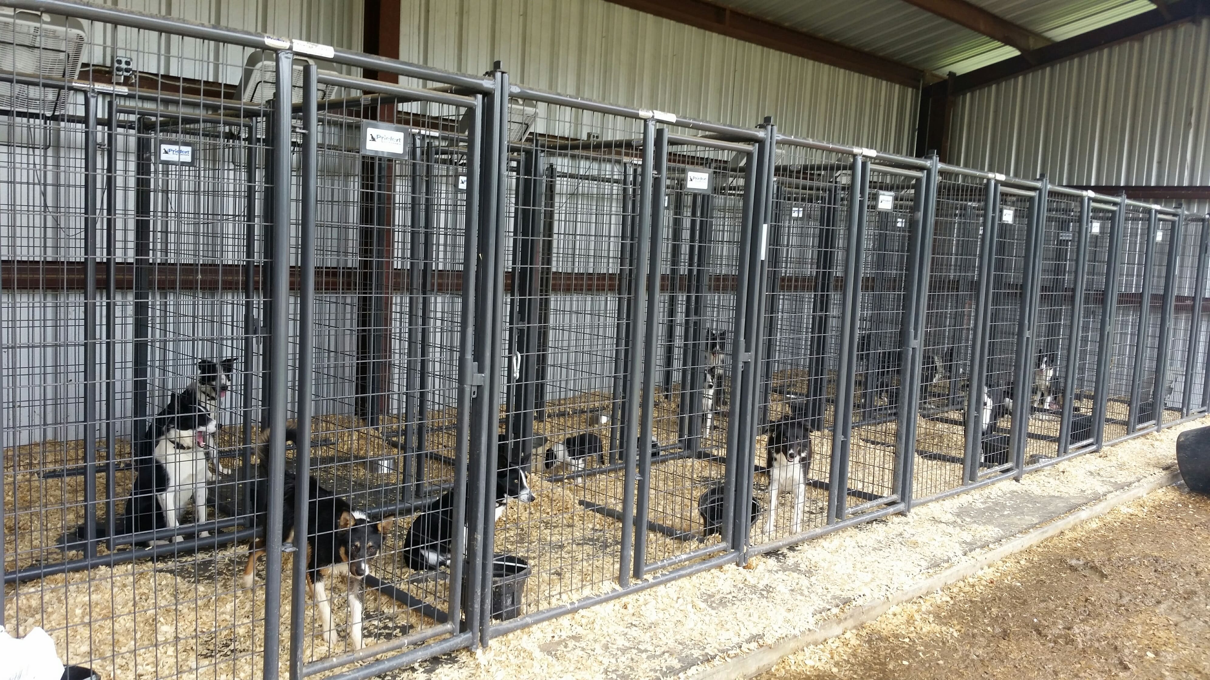 Corrosion Resistance