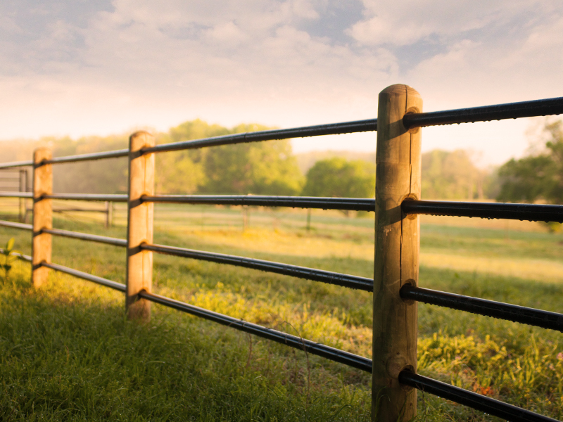 All Fence Rails and Estate Fence Posts